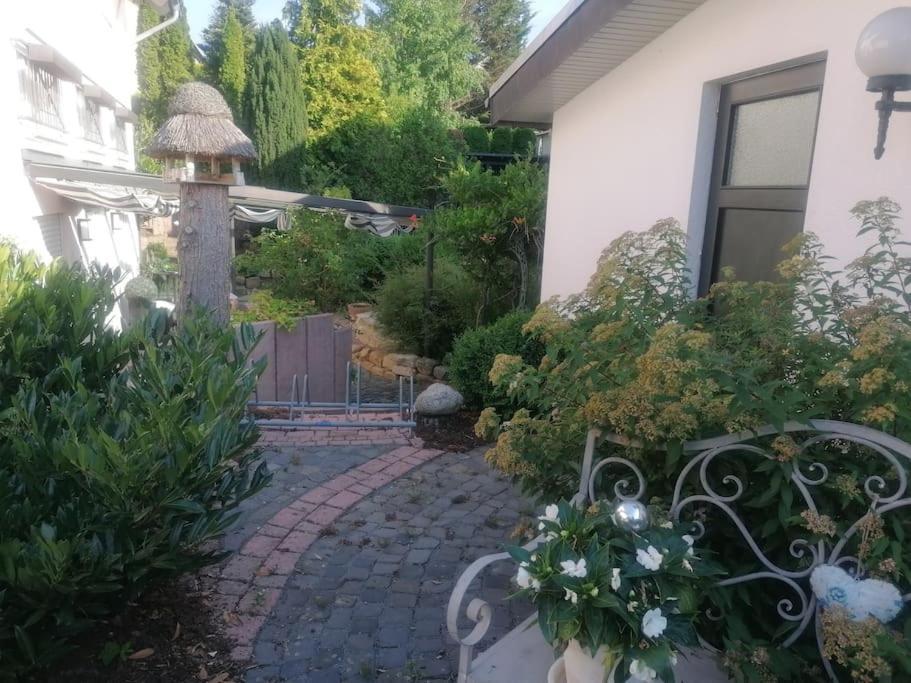 Апартаменти Haus Jaeger Ruheoase Im Gruenen Lohfelden Екстер'єр фото